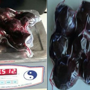 Vacuum Packed Whole Peeled Red Beetroot