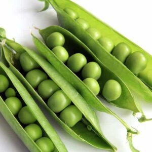 Peas-English-garden-2