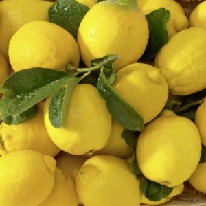 lemon-wedges-1536143689-4266904