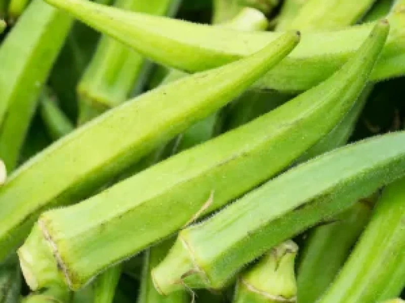 Okra-whole.webp
